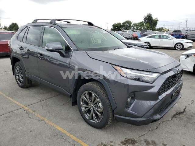 Photo 4 of 2025 TOYOTA RAV4 XLE PREMIUM (VIN JTMB6RFV4SJ074842)