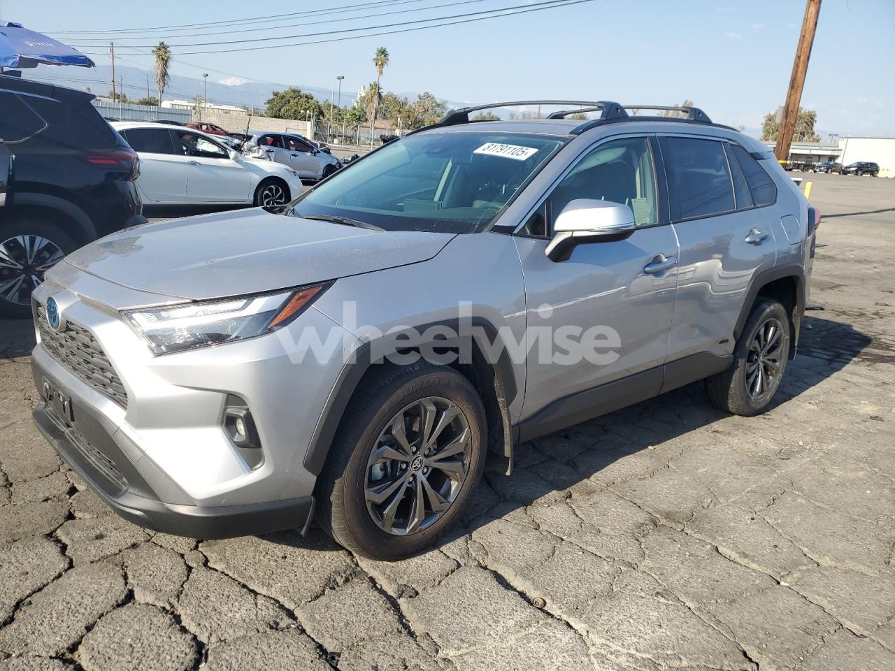 2024 TOYOTA RAV4 XLE PREMIUM (VIN JTMB6RFV5RD146883) main photo