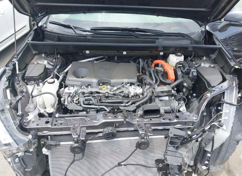 Photo 10 of 2024 Toyota Rav4 HYBRID XLE PREMIUM (VIN JTMB6RFV5RJ059437)