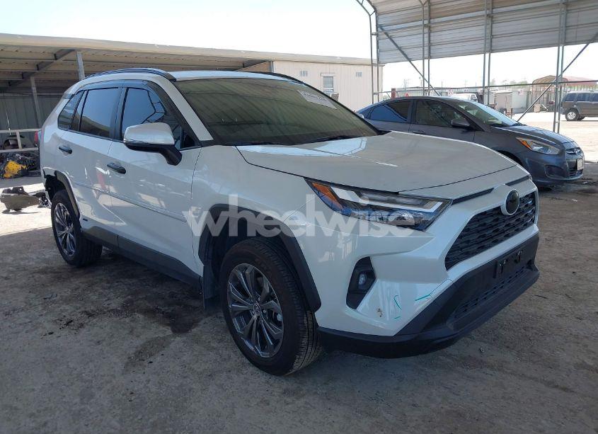 2024 Toyota Rav4 HYBRID XLE PREMIUM (VIN JTMB6RFV7RJ061562) main photo
