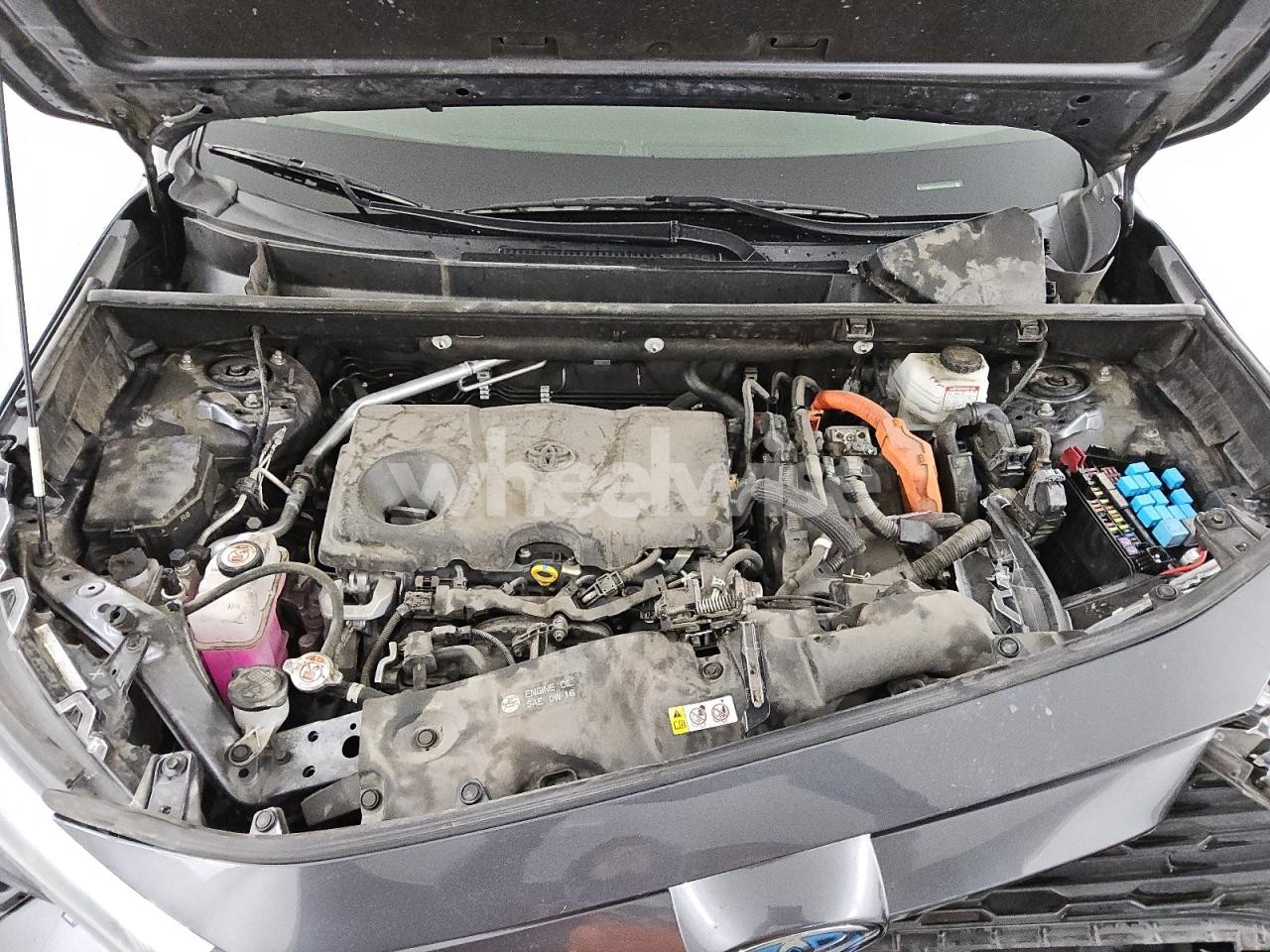 Photo 12 of 2023 TOYOTA RAV4 XLE PREMIUM (VIN JTMB6RFV9PD085163)