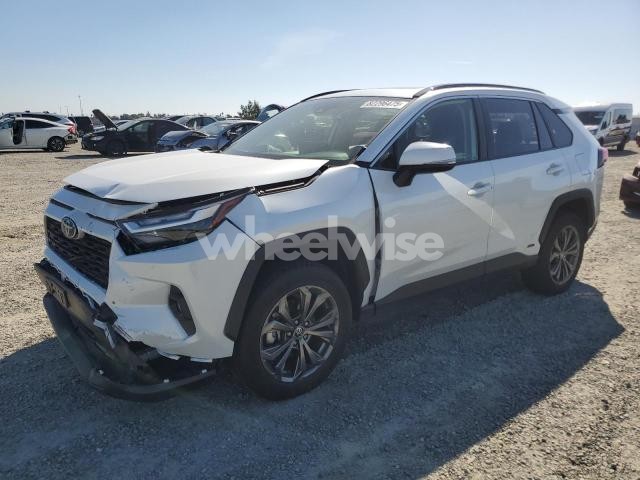 Photo 8 of 2023 TOYOTA RAV4 XLE PREMIUM (VIN JTMB6RFV9PD097491)