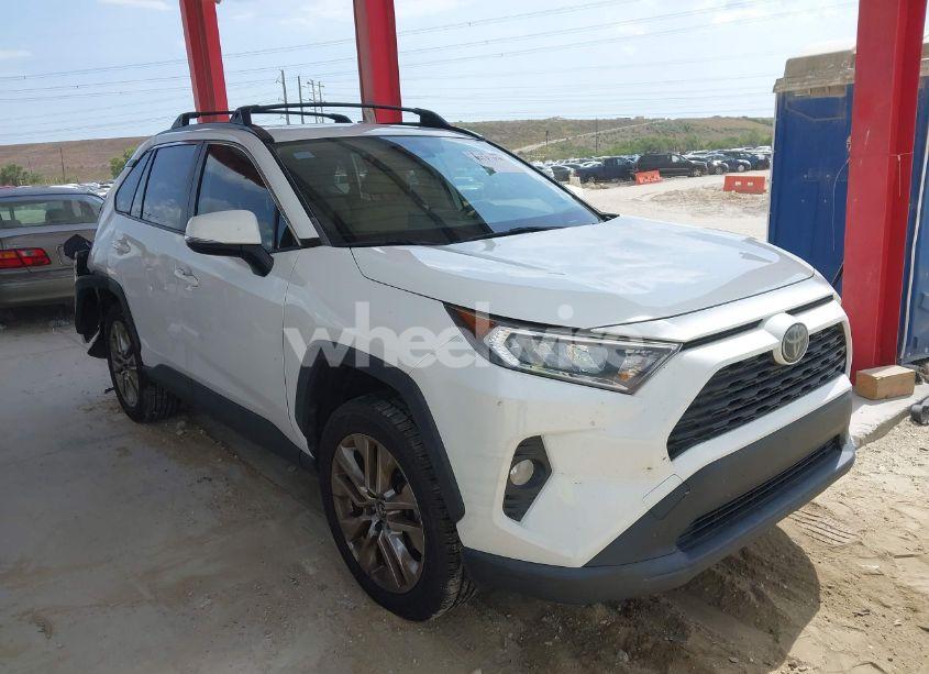 2019 Toyota Rav4 XLE PREMIUM (VIN JTMC1RFV2KD504756) main photo