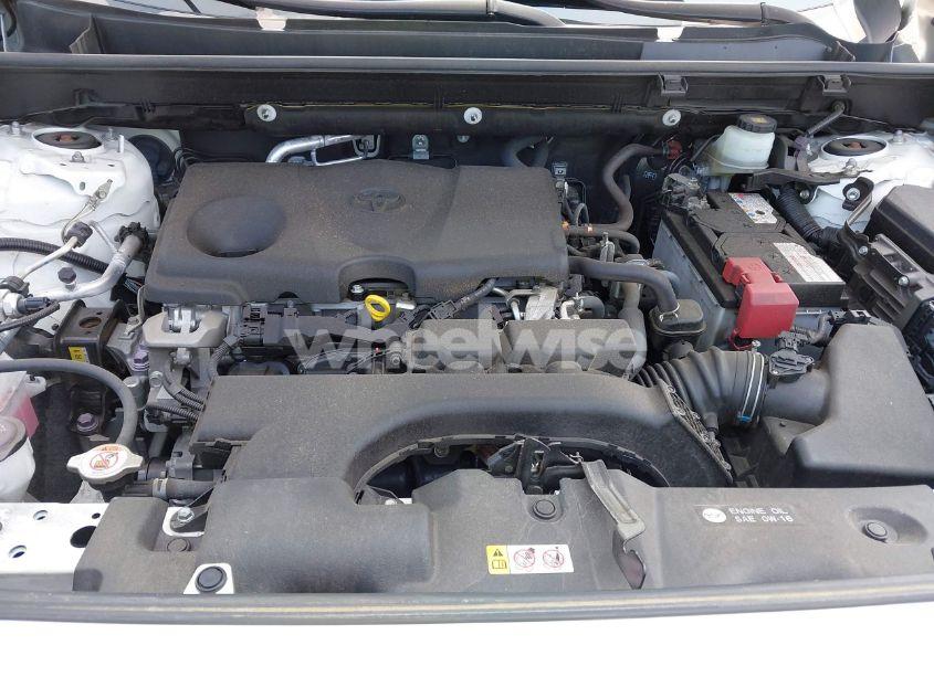 Photo 10 of 2019 Toyota Rav4 LE (VIN JTMF1RFV0KD045059)