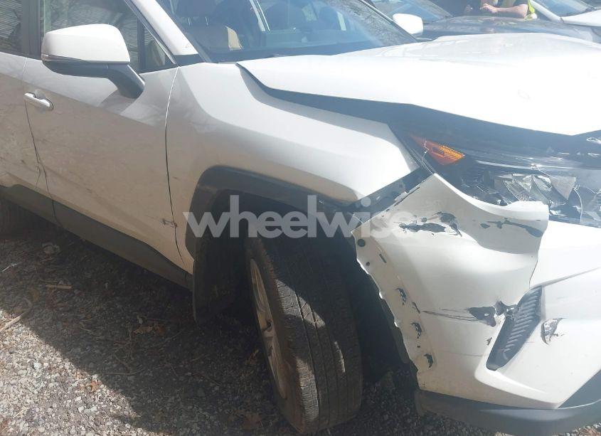 Photo 19 of 2019 Toyota Rav4 LE (VIN JTMG1RFV0KD043865)