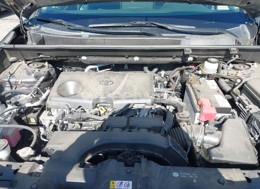 Photo 10 of 2019 Toyota Rav4 LE (VIN JTMG1RFV5KJ010605)