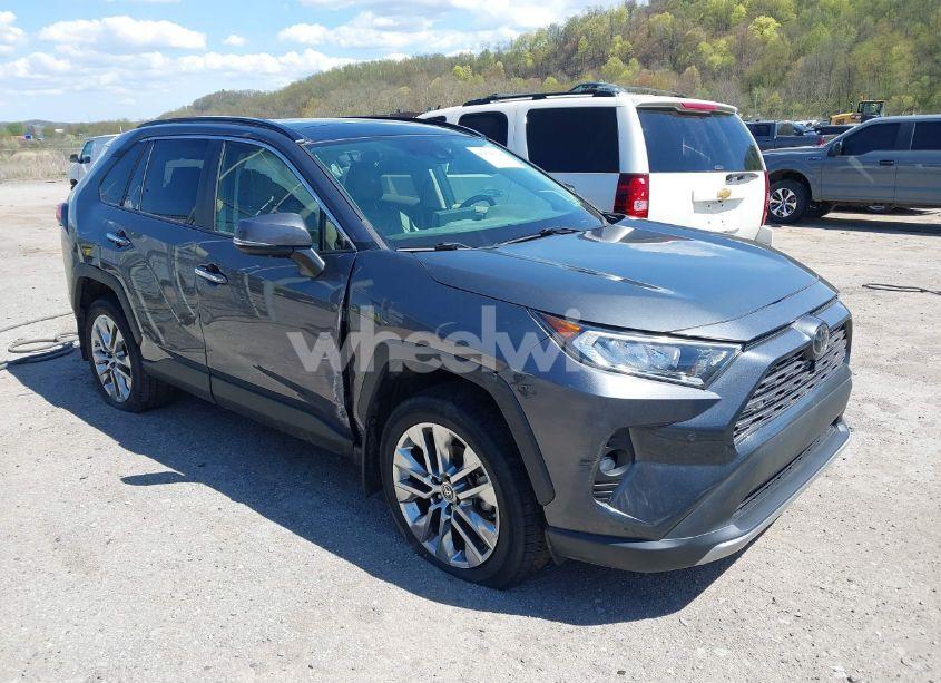 2019 Toyota Rav4 LIMITED (VIN JTMN1RFV3KD521977) main photo