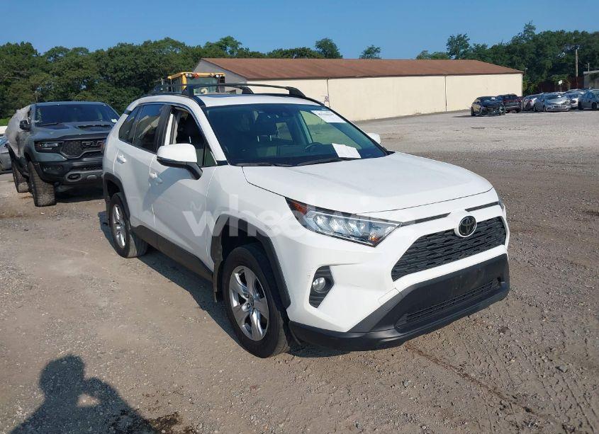 2019 Toyota Rav4 XLE (VIN JTMP1RFV0KD020442) main photo