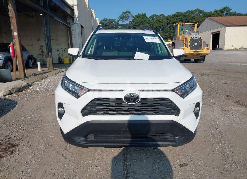 Photo 12 of 2019 Toyota Rav4 XLE (VIN JTMP1RFV0KD020442)