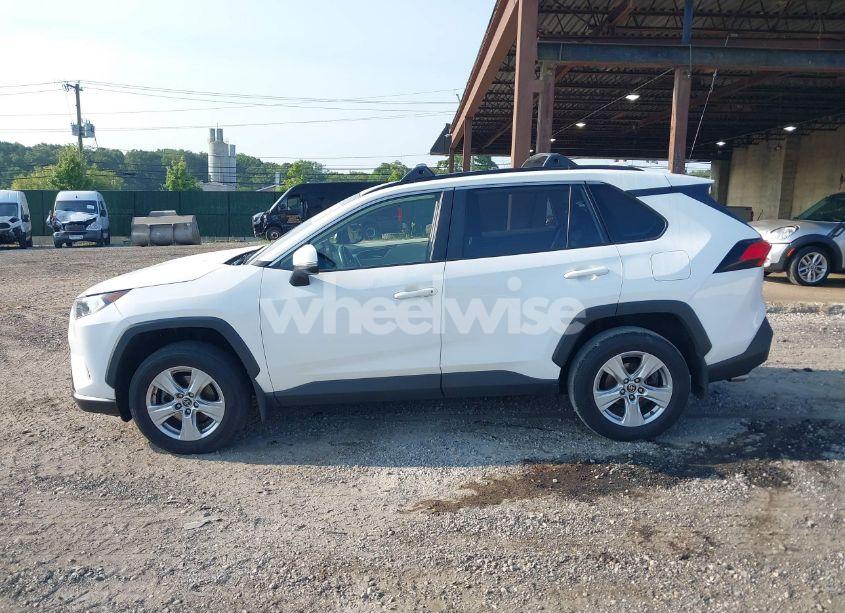 Photo 14 of 2019 Toyota Rav4 XLE (VIN JTMP1RFV0KD020442)