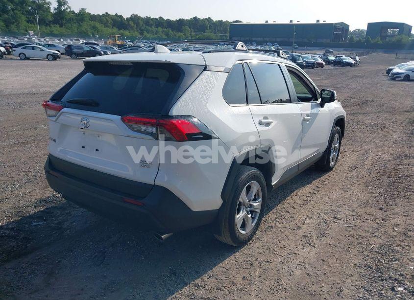 Photo 4 of 2019 Toyota Rav4 XLE (VIN JTMP1RFV0KD020442)