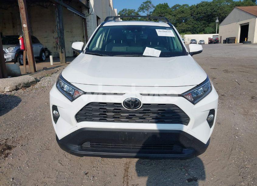 Photo 6 of 2019 Toyota Rav4 XLE (VIN JTMP1RFV0KD020442)