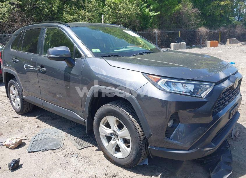 2019 Toyota Rav4 XLE (VIN JTMP1RFV0KD034373) main photo