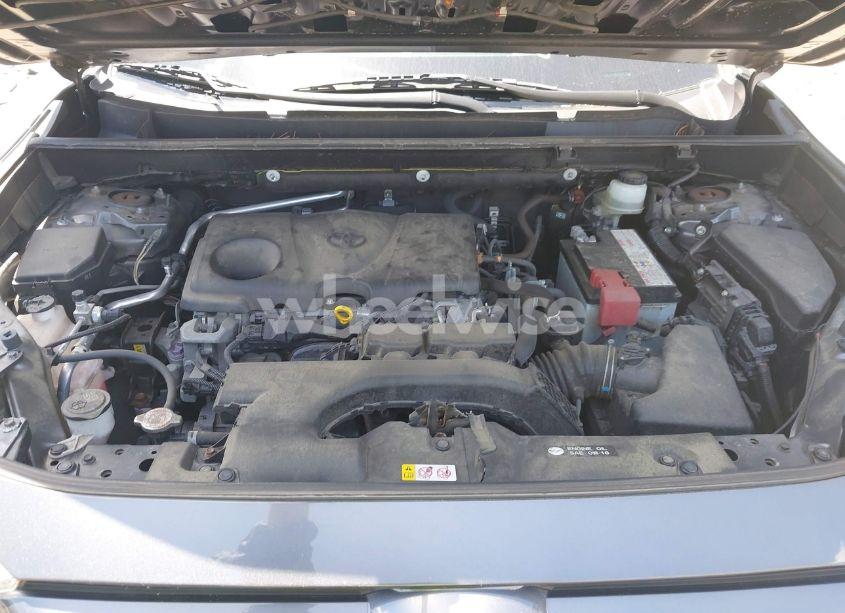 Photo 10 of 2019 Toyota Rav4 XLE (VIN JTMP1RFV0KD034373)