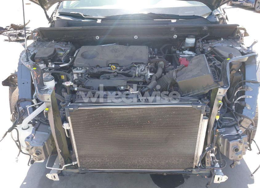 Photo 10 of 2019 Toyota Rav4 XLE (VIN JTMP1RFV0KD510962)