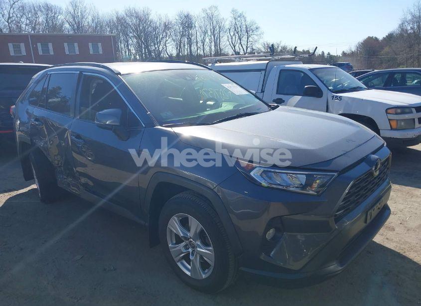 2019 Toyota Rav4 XLE (VIN JTMP1RFV0KD524246) main photo