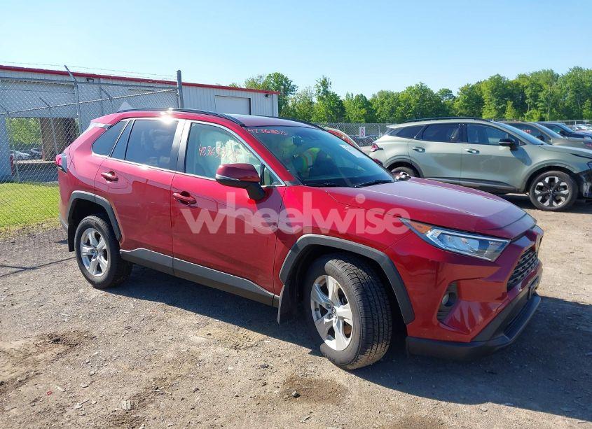 2019 Toyota Rav4 XLE (VIN JTMP1RFV1KD521730) main photo