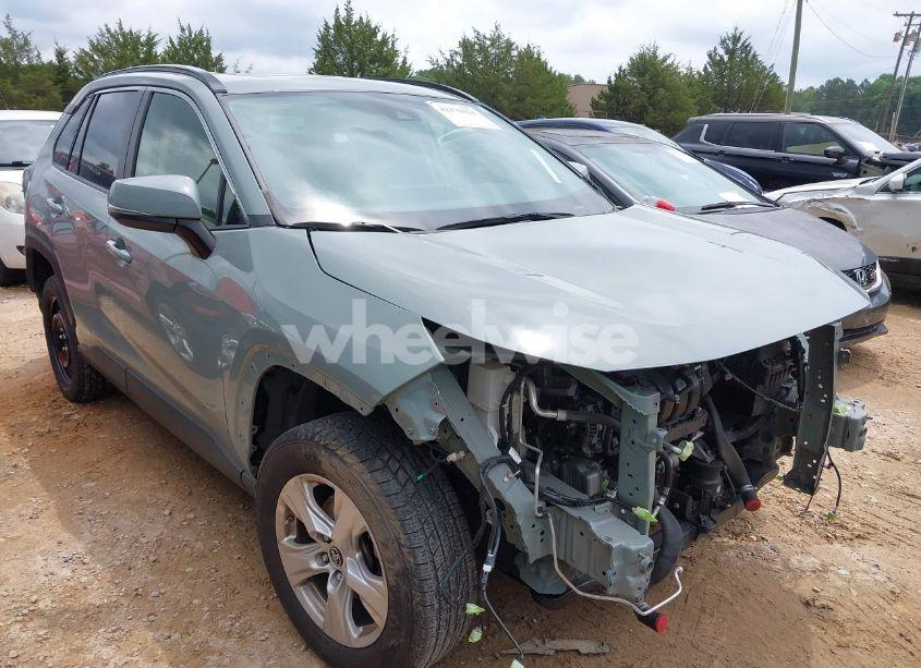 2019 Toyota Rav4 XLE (VIN JTMP1RFV3KJ015267) main photo