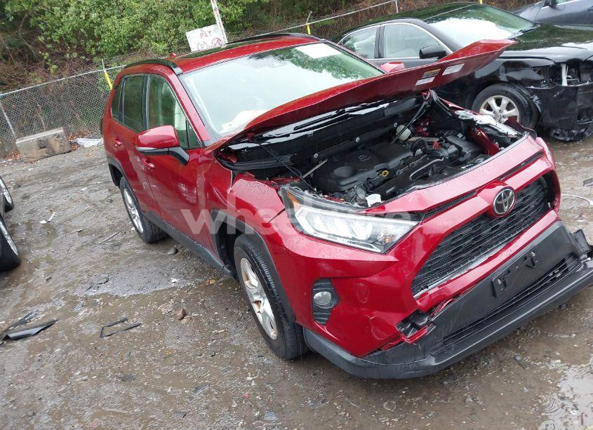 2019 Toyota Rav4 XLE (VIN JTMP1RFV7KD516029) main photo