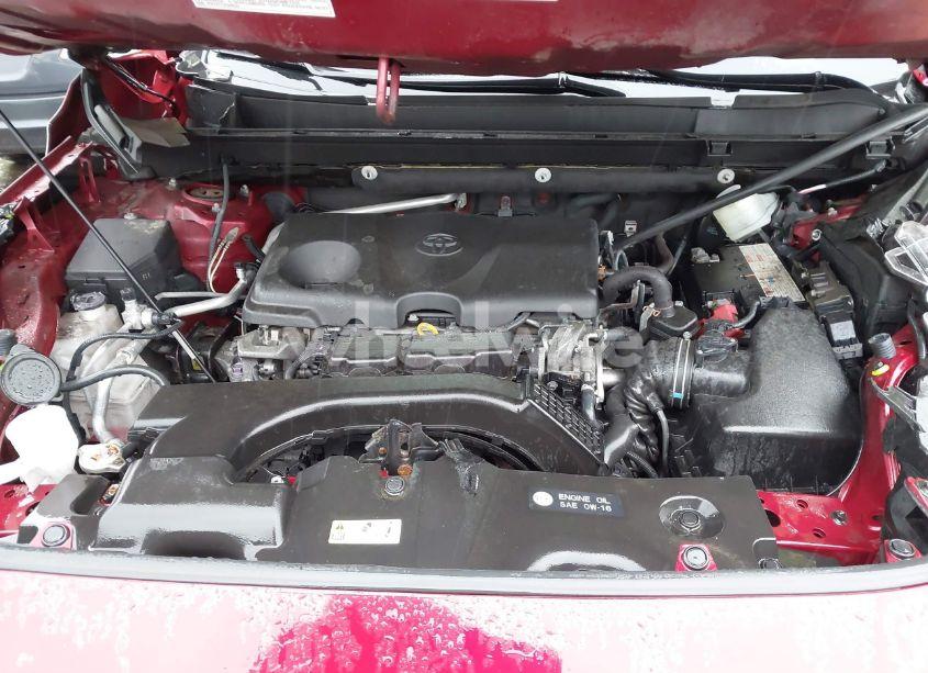 Photo 10 of 2019 Toyota Rav4 XLE (VIN JTMP1RFV7KD516029)