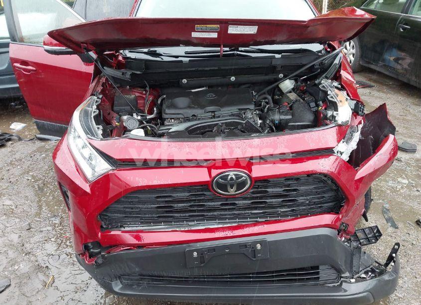 Photo 12 of 2019 Toyota Rav4 XLE (VIN JTMP1RFV7KD516029)