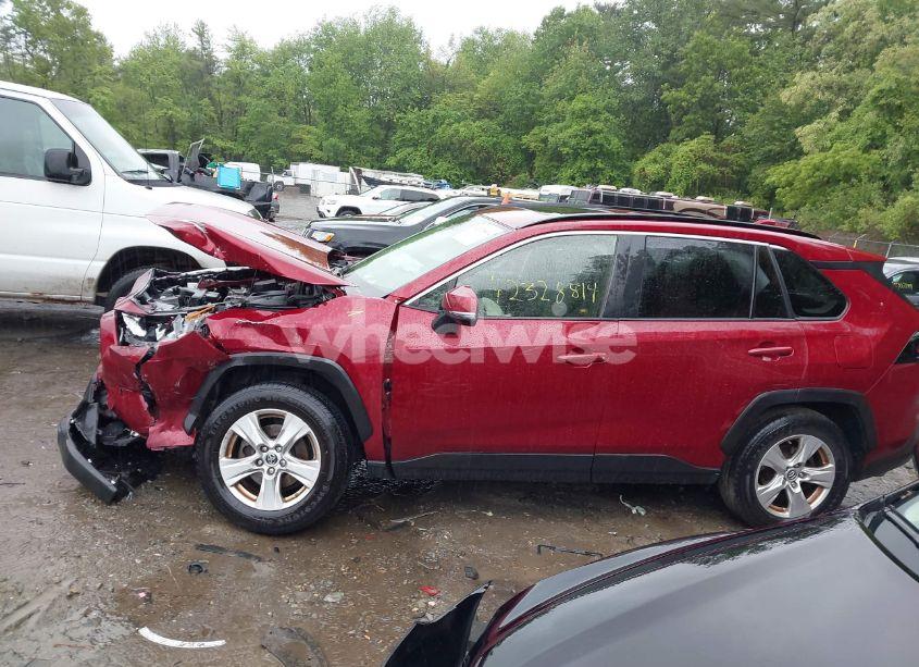 Photo 14 of 2019 Toyota Rav4 XLE (VIN JTMP1RFV7KD516029)