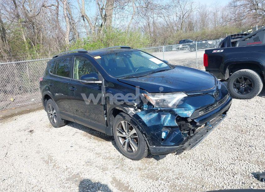 2018 Toyota Rav4 XLE (VIN JTMRFREV1JJ180499) main photo