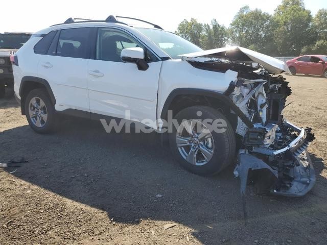 2025 TOYOTA RAV4 XLE (VIN JTMRWRFV0SD315972) main photo