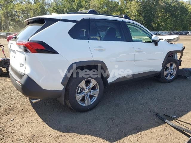 Photo 2 of 2025 TOYOTA RAV4 XLE (VIN JTMRWRFV0SD315972)