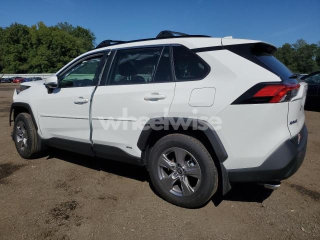 Photo 6 of 2025 TOYOTA RAV4 XLE (VIN JTMRWRFV0SD315972)