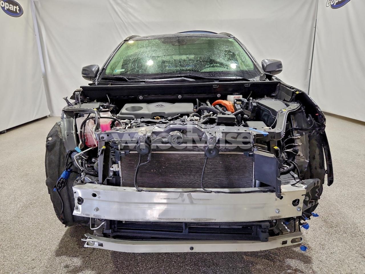 Photo 5 of 2023 TOYOTA RAV4 XLE (VIN JTMRWRFV2PD174524)