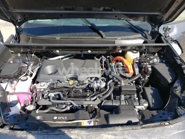 Photo 5 of 2025 TOYOTA RAV4 XLE (VIN JTMRWRFV2SJ076104)