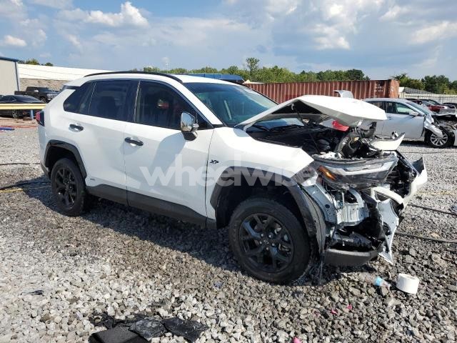 2024 TOYOTA RAV4 XLE (VIN JTMRWRFV5RD262647) main photo