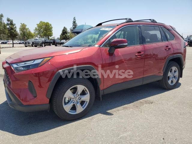 Photo 13 of 2025 TOYOTA RAV4 XLE (VIN JTMRWRFV6SD299082)
