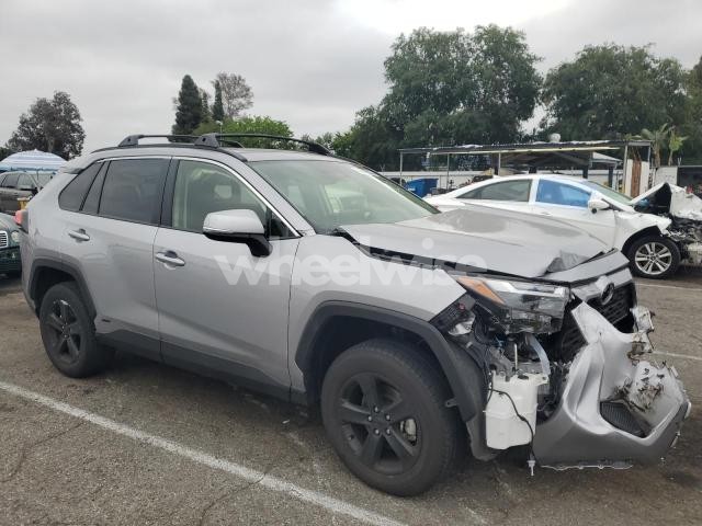 Photo 13 of 2025 TOYOTA RAV4 XLE (VIN JTMRWRFVXSD277926)