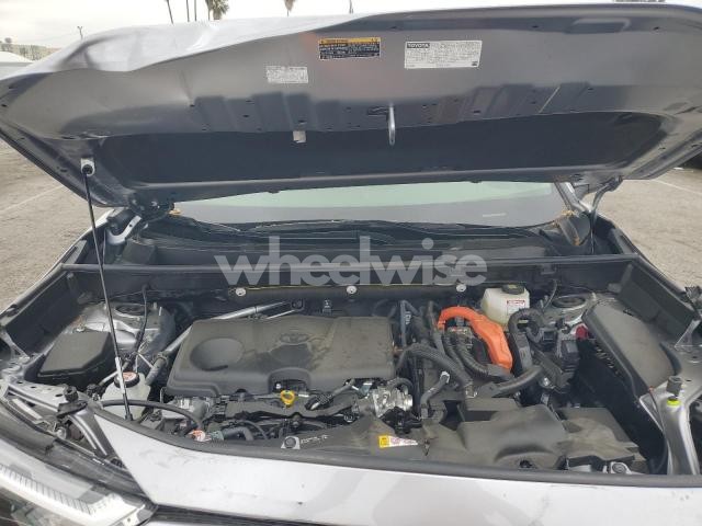 Photo 2 of 2025 TOYOTA RAV4 XLE (VIN JTMRWRFVXSD277926)