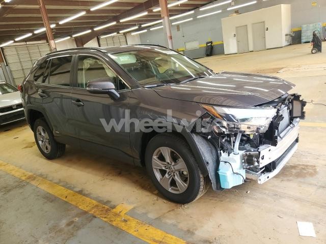 Photo 13 of 2025 TOYOTA RAV4 XLE (VIN JTMRWRFVXSD293544)