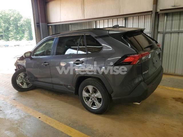 Photo 8 of 2025 TOYOTA RAV4 XLE (VIN JTMRWRFVXSD293544)