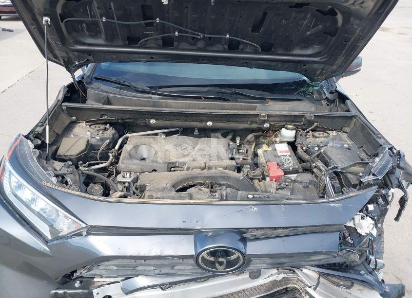 Photo 10 of 2019 Toyota Rav4 XLE (VIN JTMW1RFV6KD011465)