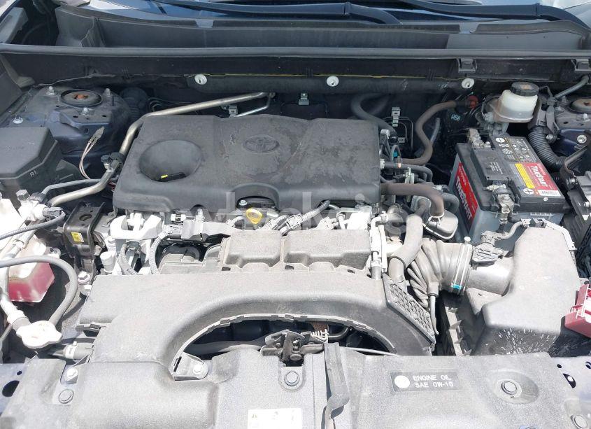 Photo 10 of 2019 Toyota Rav4 XLE (VIN JTMW1RFV6KD502439)