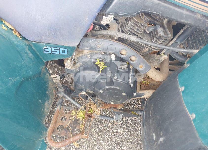 Photo 8 of 1996 Yamaha Yfm350 FW (VIN JY43HNA09TA212085)