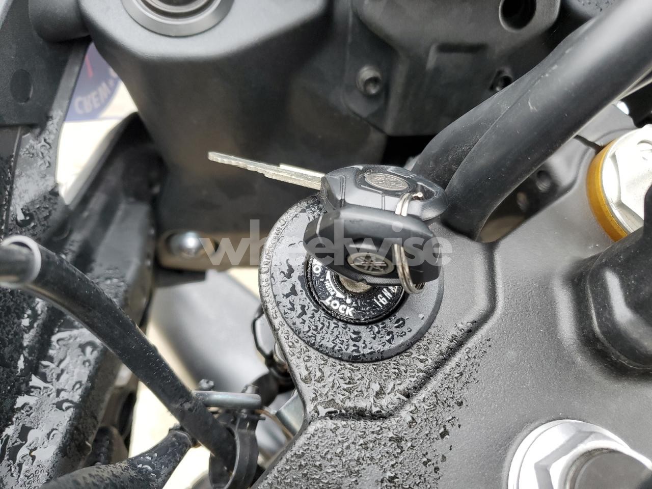 Photo 8 of 2025 YAMAHA XTZ690 (VIN JYADM17N1SA001034)