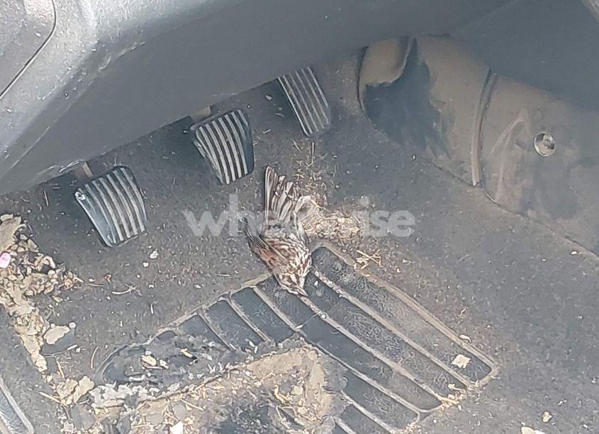 Photo 6 of 2009 Chevrolet Aveo LS (VIN KL1TD66E29B679088)