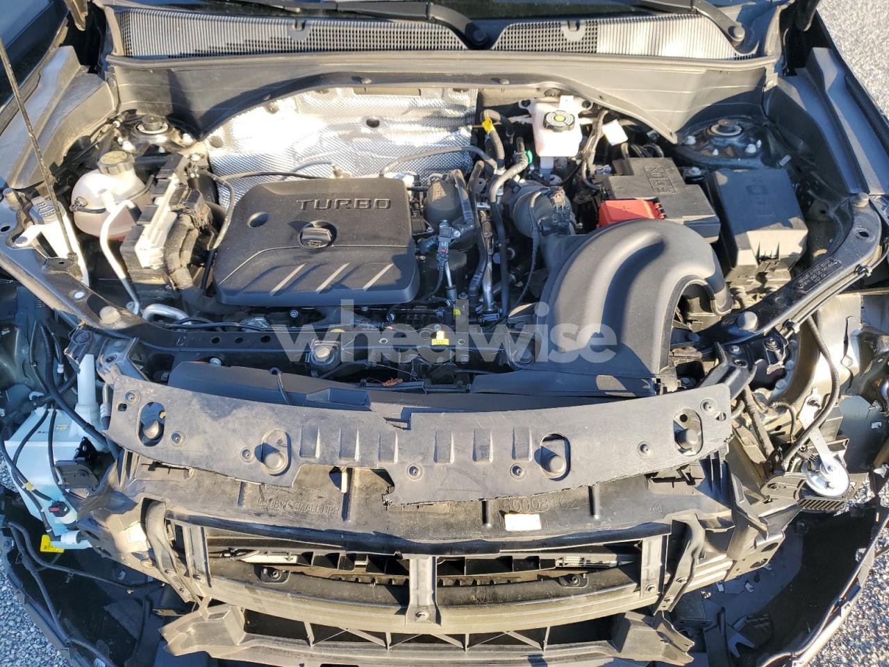 Photo 12 of 2025 CHEVROLET TRAILBLAZER LT (VIN KL79MPSL0SB063891)