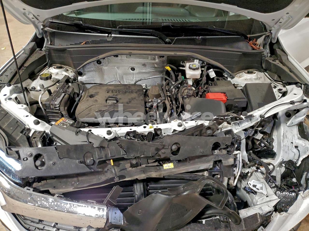 Photo 12 of 2025 CHEVROLET TRAILBLAZER LT (VIN KL79MPSL9SB215246)