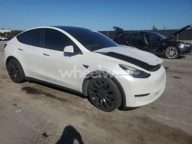 Photo 11 of 2021 TESLA MODEL Y (VIN KM8J33A20HU484801)