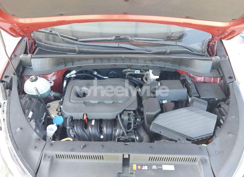 Photo 10 of 2019 Hyundai Tucson LIMITED (VIN KM8J33AL7KU865187)