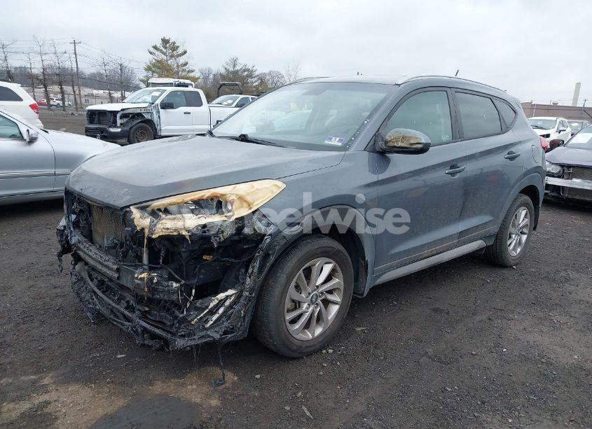 Photo 2 of 2017 Hyundai Tucson SE (VIN KM8J3CA40HU317405)