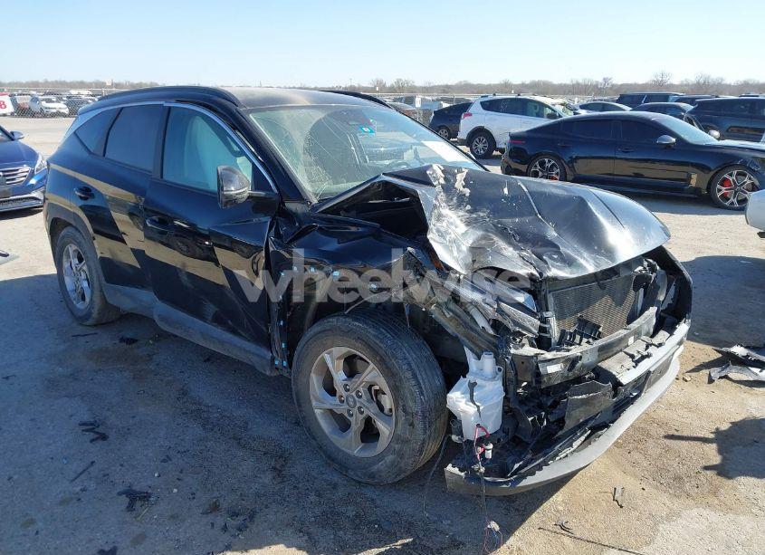2023 Hyundai Tucson SEL (VIN KM8JB3AE2PU199612) main photo