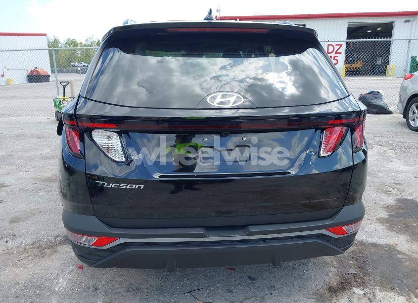 Photo 17 of 2024 Hyundai Tucson SEL (VIN KM8JB3DE8RU350306)